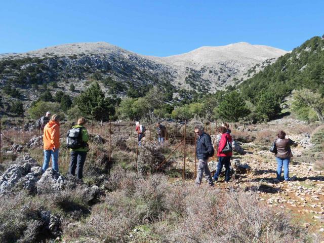 Foto 4: Il gruppo di lavoro in visita in uno dei plot permanenti. Niato Plateau, Eastern Lefka Ori - East Crete