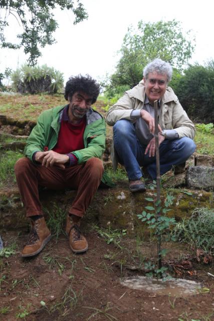 fig. 2. L'esemplare collocato nella collinetta mediterranea, con il curatore dell'Orto, dr. M. Speciale assieme al dr. G. Garfì 