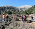 Foto 4: Il gruppo di lavoro in visita in uno dei plot permanenti. Niato Plateau, Eastern Lefka Ori - East Crete